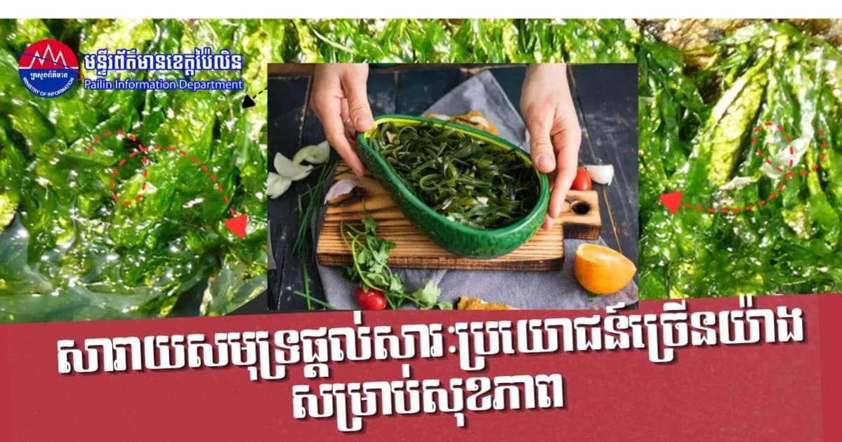 សារាយសមុទ្រផ្ដល់សារៈប្រយោជន៍ច្រើនយ៉ាងសម្រាប់សុខភាព