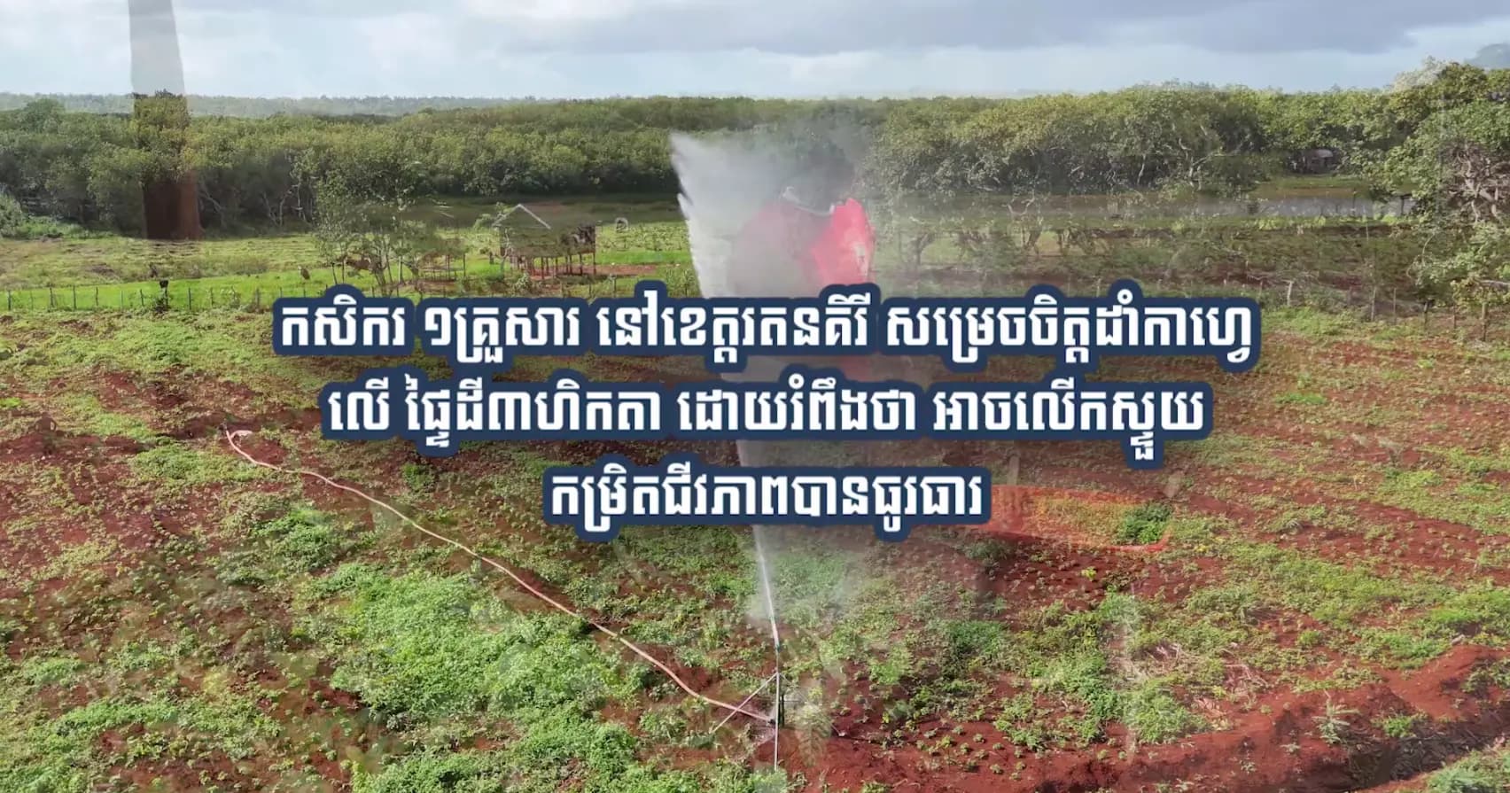 បទយកការណ៍ស្ដីពី ៖ កសិករ ១គ្រួសារ នៅខេត្តរតនគិរី សម្រេចចិត្តដាំកាហ្វេ លើ ផ្ទៃដី៣ហិកតា ដោយរំពឹងថា អាចលើកស្ទួយកម្រិតជីវភាពបានធូរធារ
