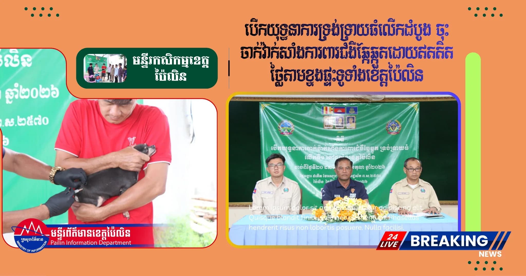 ព័ត៌មាន ទទក ប៉ៃលិន (វីដេអូ) : មន្ទីរកសិកម្មខេត្តប៉ៃលិន បើកយុទ្ធនាការទ្រង់ទ្រាយធំលើកដំបូង ចុះចាក់វ៉ាក់សាំងការពារជំងឺឆ្កែឆ្កួតដោយឥតគិតថ្លៃតាមខ្នងផ្ទះទូទាំងខេត្តប៉ៃលិន