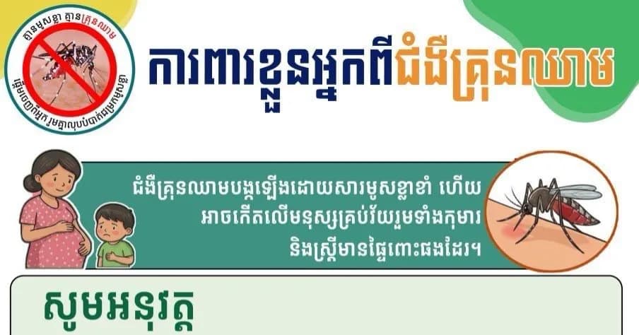ការពាខ្លួនអ្នកពីជំងឺគ្រុនឈាម