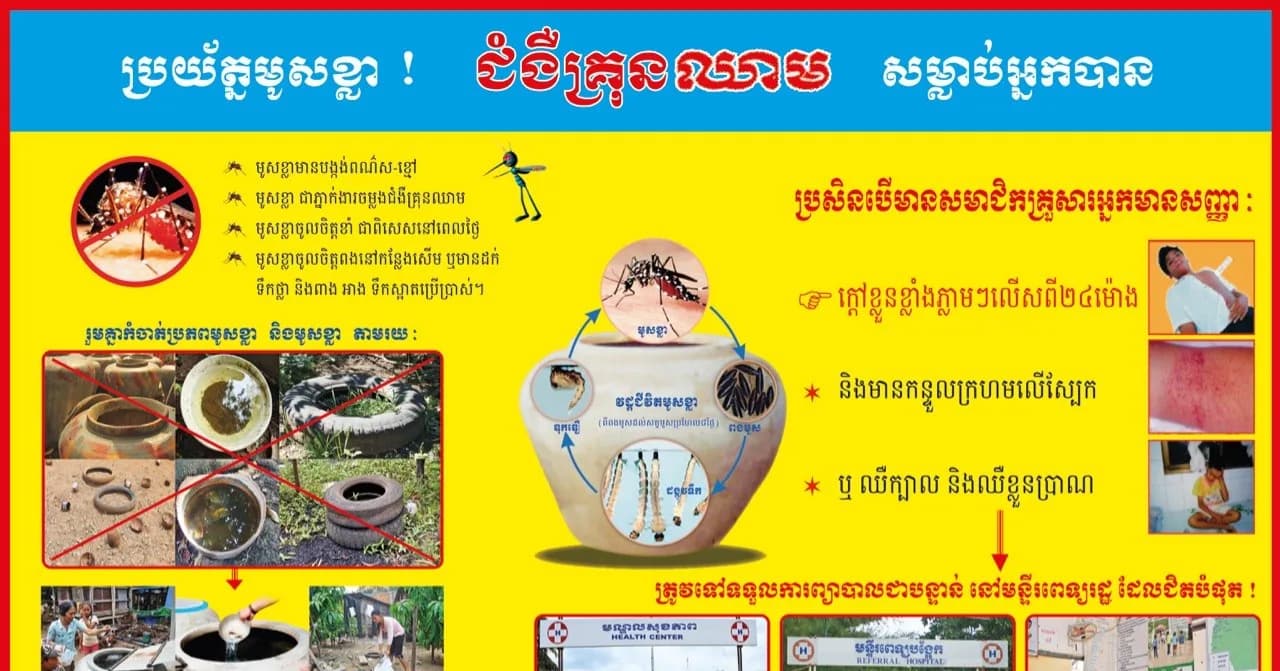 ប្រយ័ត្នមូសខ្លា! ជំងឺគ្រុនឈាមសម្លាប់អ្នកបាន