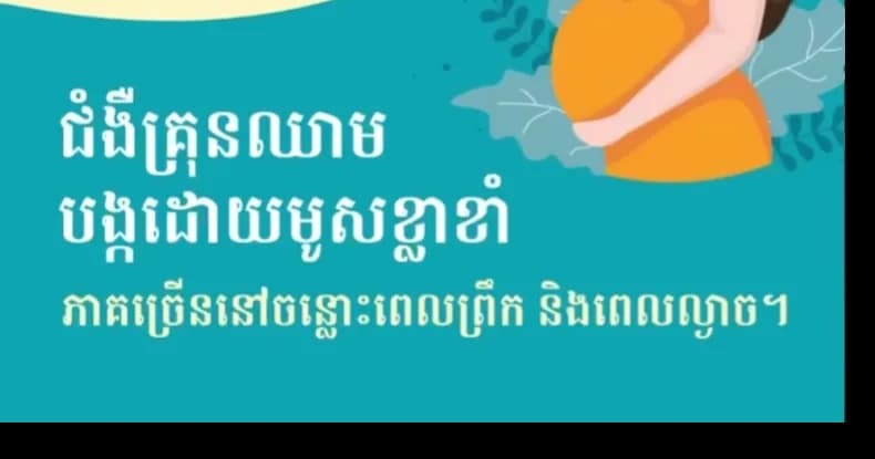 សារអប់រំសុខភាព អំពី ជំងឺគ្រុនឈាម !
