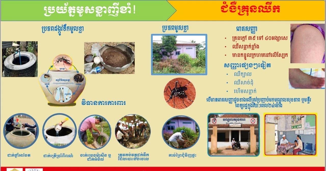 ប្រយ័ត្នមូសខ្លាញីខាំ! ជំងឺគ្រុនឈីក